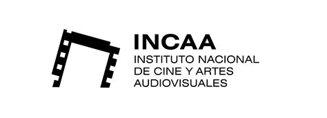 Instituto de la Cinematografía y de las Artes Audiovisuales (ICAA)